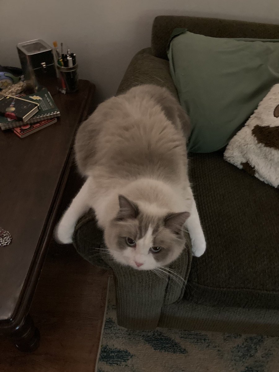 jo (@joeybuggz) on Twitter photo 