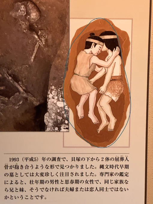 例の縄文オッサンと縄文美少女が抱き合って埋められた墓の、人骨模型。人骨まんま展示してるとこも結構あるけど……同時に埋められた、と言うことは、だいたい同時に死んだ、と言うことだと思うけど、無理心中でなけりゃ食中毒あたりかな 