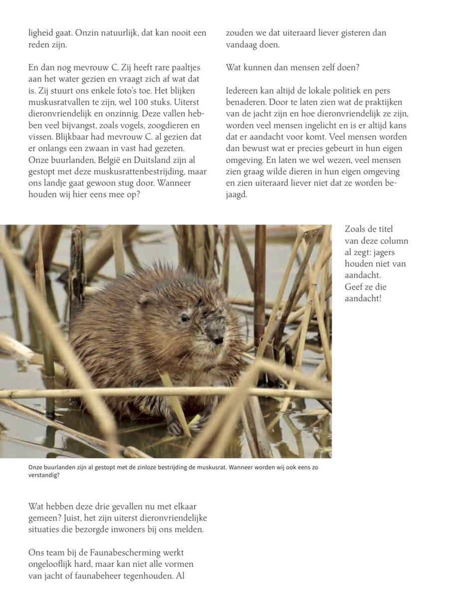 MarjolijnVeens2's tweet photo. Nieuwe column Argus @faunabeschermin
Pssst! Er is iets waar jagers niet van houden!
Geef het ze 😎
#bandejacht #jagers #jacht #faunabeheer #wildedieren https://t.co/HUzFrzhnuL