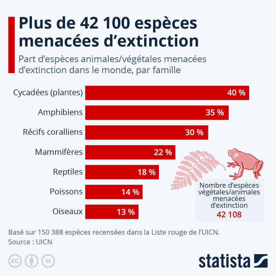 XRNamur's tweet image. #QuestionRebelle 
Qui aurait pu prédire ceci?