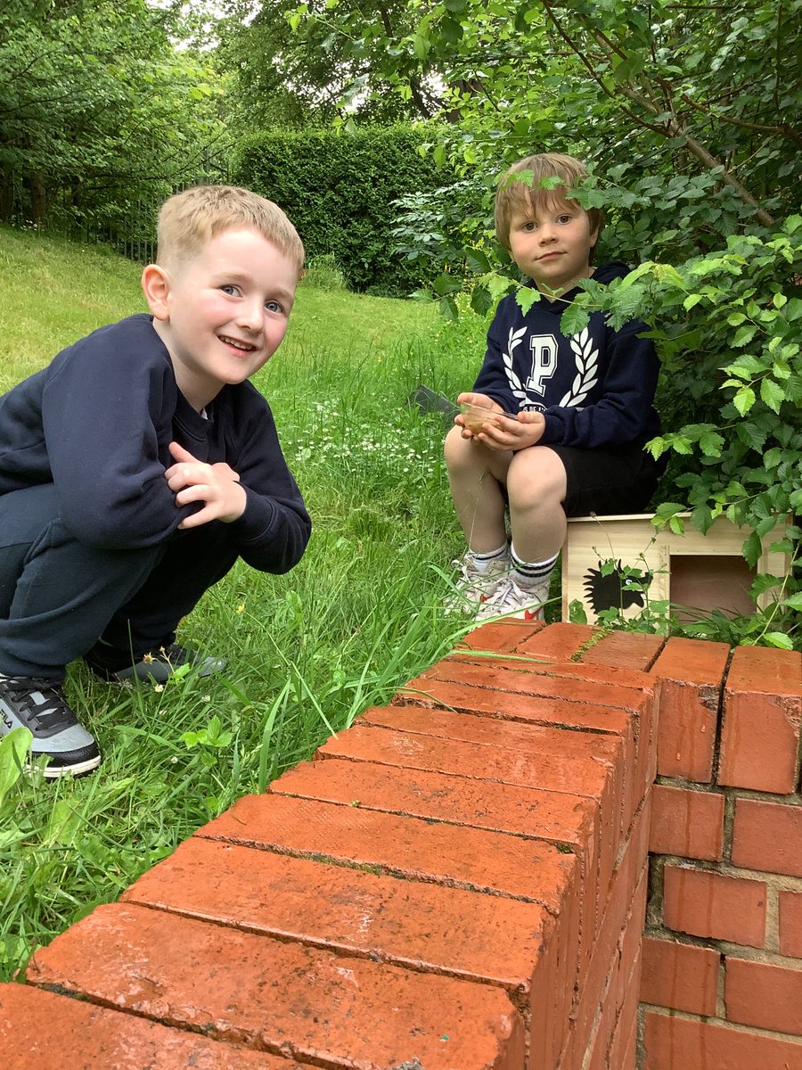 ChurchDrivePS's tweet photo. Church Drive School has joined the ‘Hedgehog Friendly School’ campaign and we are very excited about it. We want to spread to everyone across our socials how important it is to keep our hedgehogs safe and comfortable. #HogFriendly ⁦@OakTreesMAT⁩ ⁦@hedgehogsociety⁩ https://t.co/N6SpF6qgaF