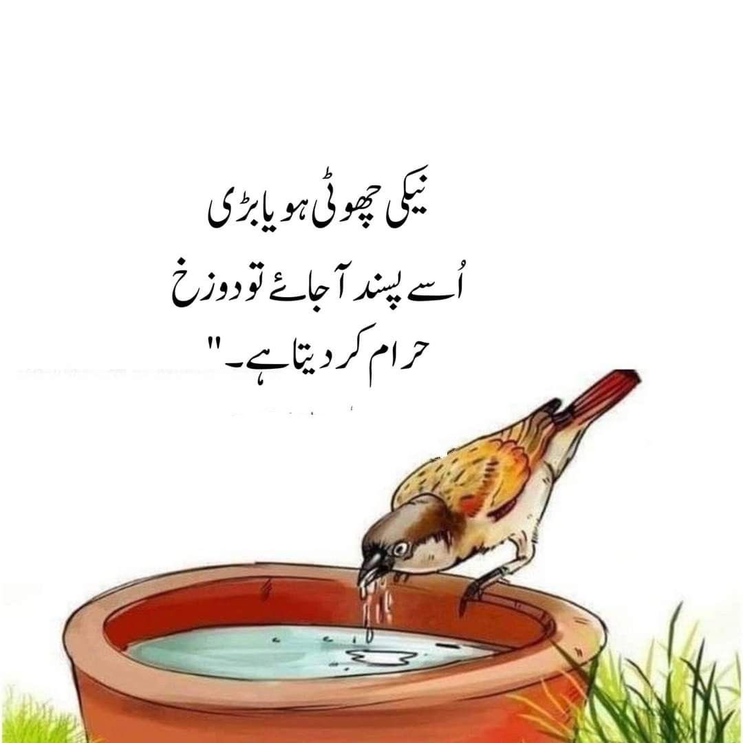 أسلام عيلكم ورحمة الله وبركاته 

نیکی چھوٹی ہو یا بڑی اُسے پسند آجائے تو دوزخ حرام کر دیتا ہے

بےشک

سبحان الله آلعظيم
