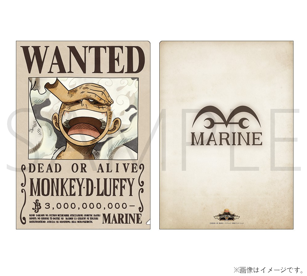 新商品】麦わらストア限定 手配書クリアファイル 各種 各440円(税込