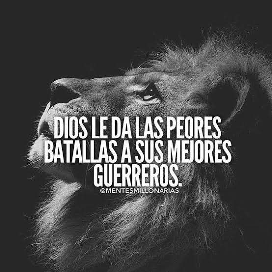 Mr. Misifu tweet media