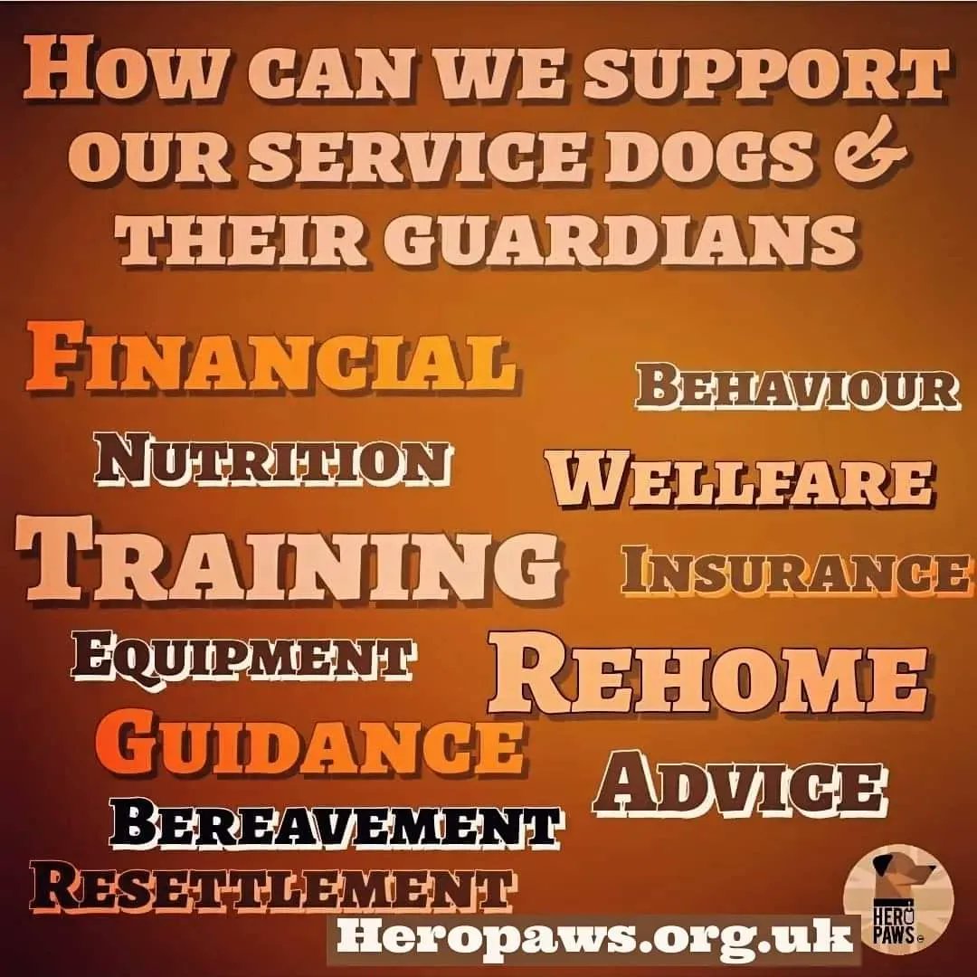Heropawsuk's tweet photo. Just a little reminder
You're never alone
https://t.co/wV5x4jVf9g
Hero Paws here to Su-Paw-t
#militarydogs #workingdogs #policedogs #hmpps #searchdogs #Generalpurpouse #lifeafterservice #charity #bethechange #heropaws #caninewelfare #wellbeing #notjustapet #family https://t.co/Vxa6ibIkdg