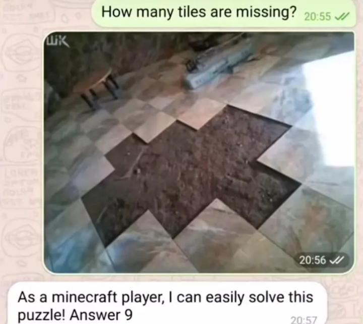 Only Minecraft players can solve this.