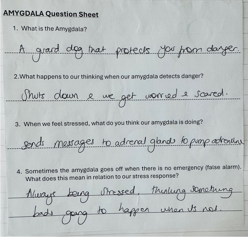 ACERedruth tweet media