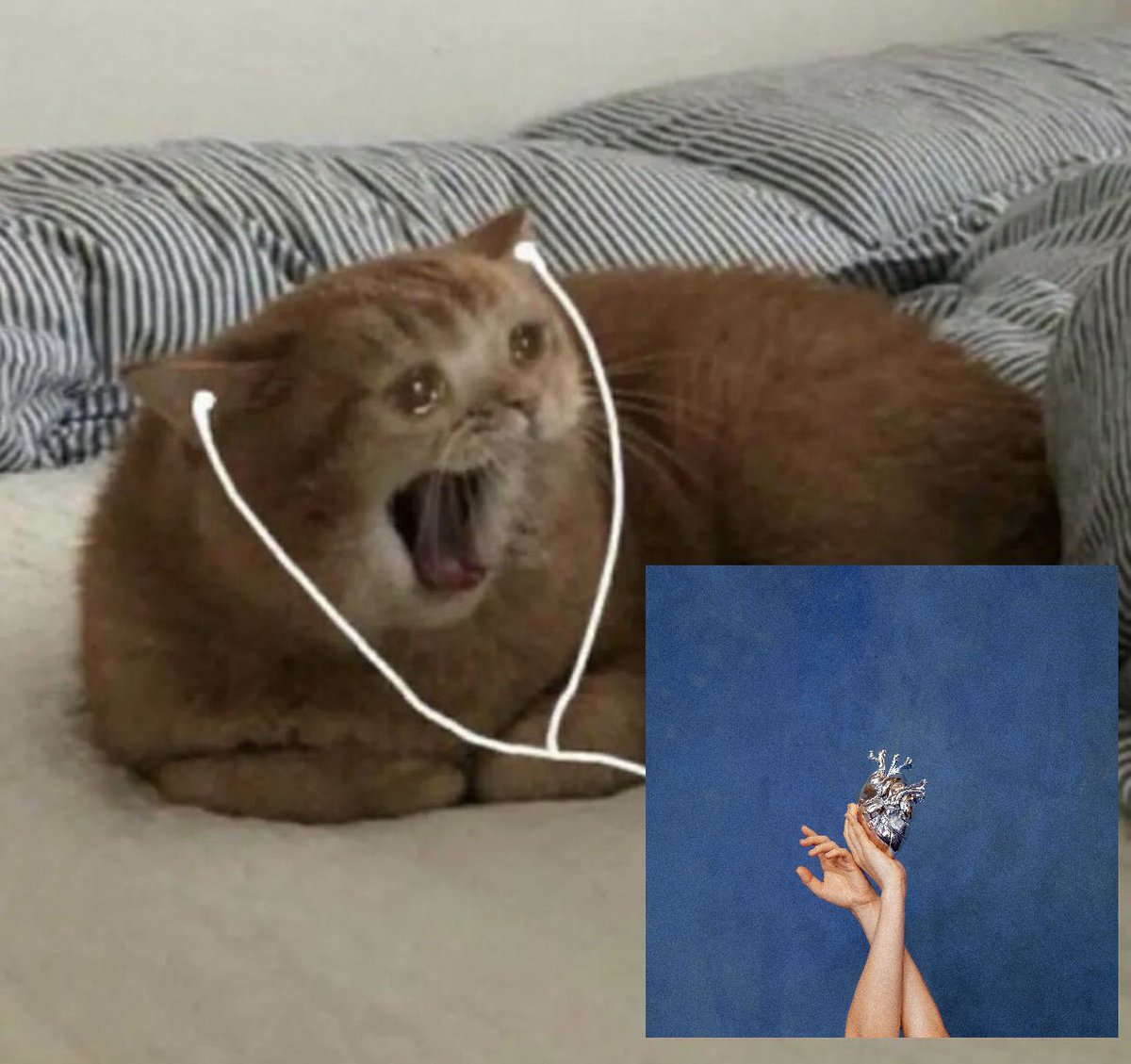 annafairyx tweet picture