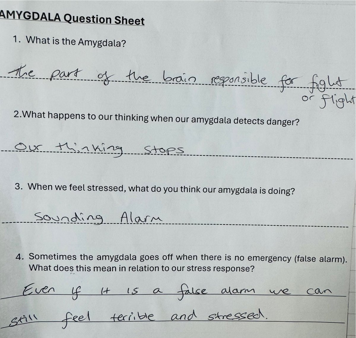 ACERedruth tweet media