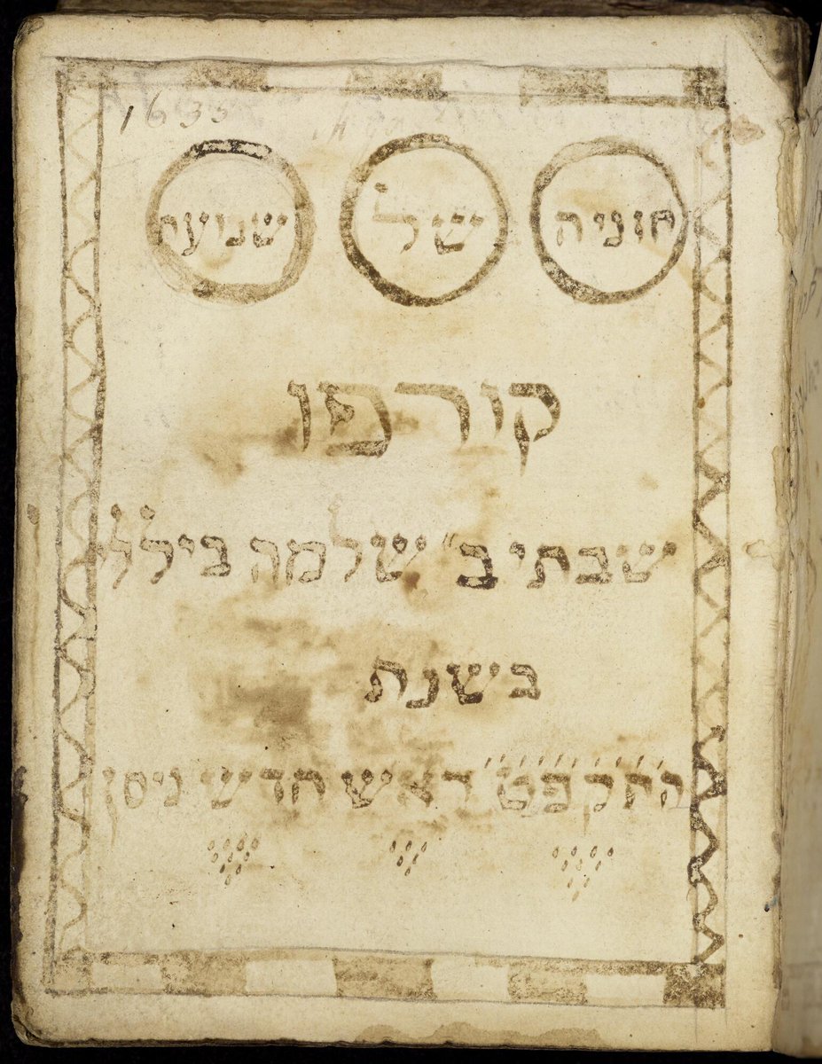 Zsófi Buda tweet media