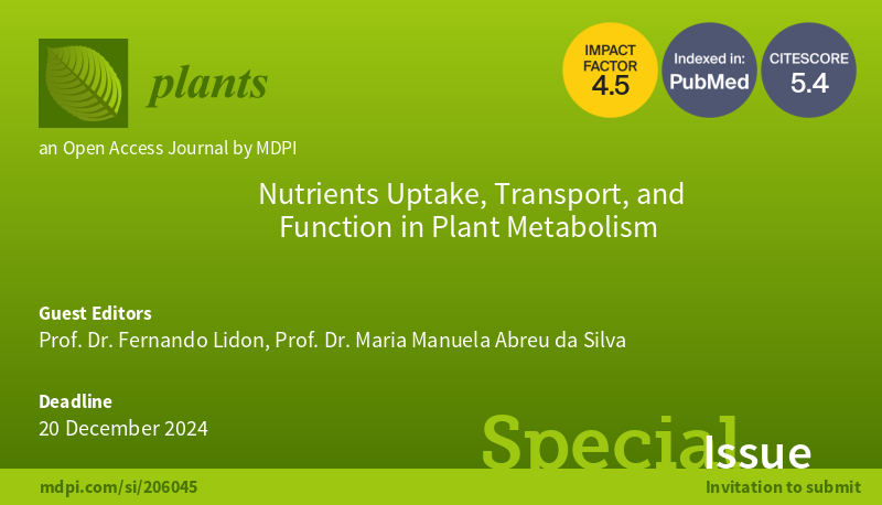 plants_mdpi Special Issue "Nutrients Uptake, Transport, and Function in  Plant Metabolism" is now open for submissions!  Deadline: 20 December 2024   You can find more information at: https://t.co/bTgMuNhB9n