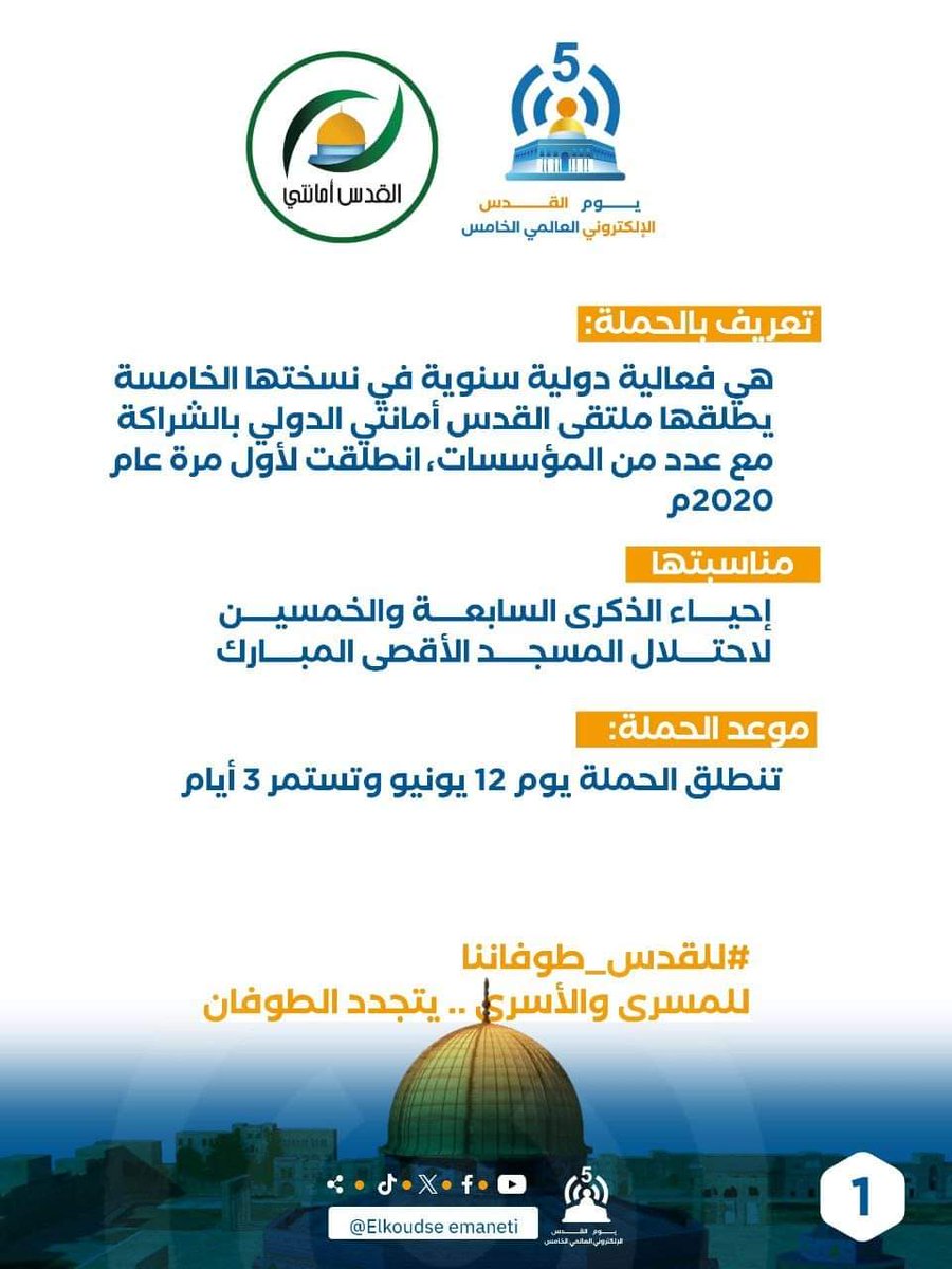 binbadis.net tweet media
