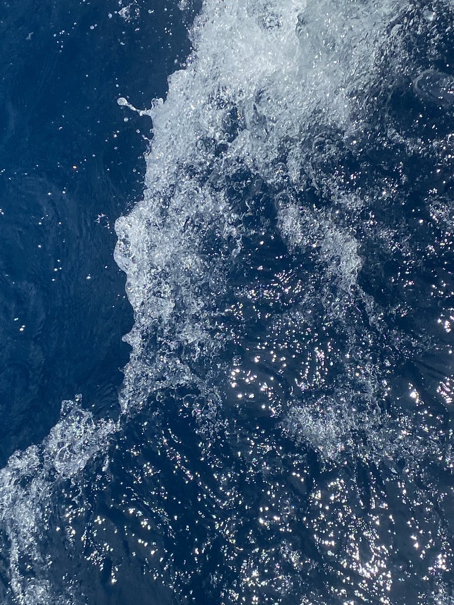 stellaritsky's tweet photo. Wild and free like the sea. Happy Independence Day! #lockscreenpic
#eosr #canonph #getAMPLFYED https://t.co/Tt8Bd6K7Kr