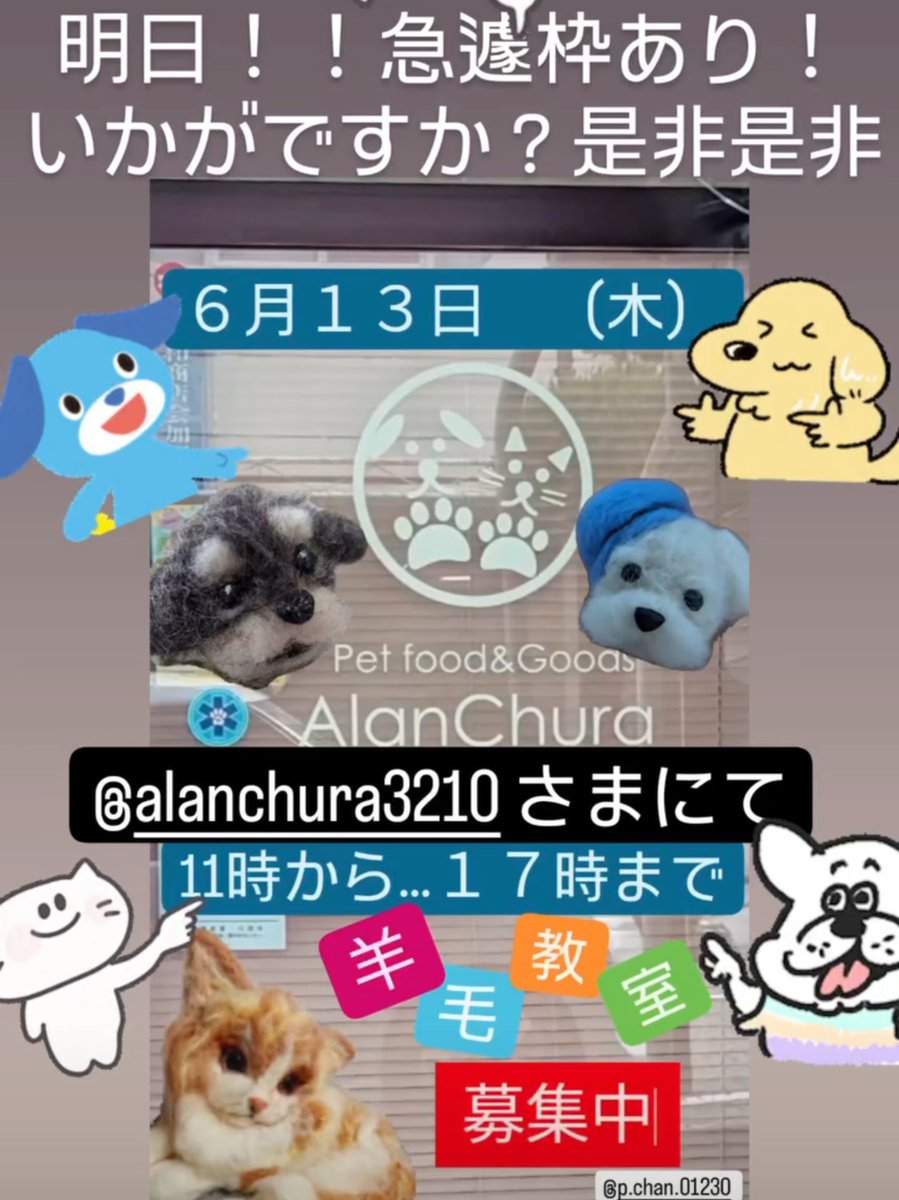 Peoplechan2's tweet photo. 皆様助けてください！
明日の羊毛フェルト教室に参加いただく方募集中です！
今日の25時まで募集しております！
参加ご希望の方は、下記のURLまでよろしくお願いします！
https://t.co/78W4BpZnIm
#拡散希望RTお願い致します 
#助けてください 
#川西市
#羊毛フェルト https://t.co/BV1dBTnNAb