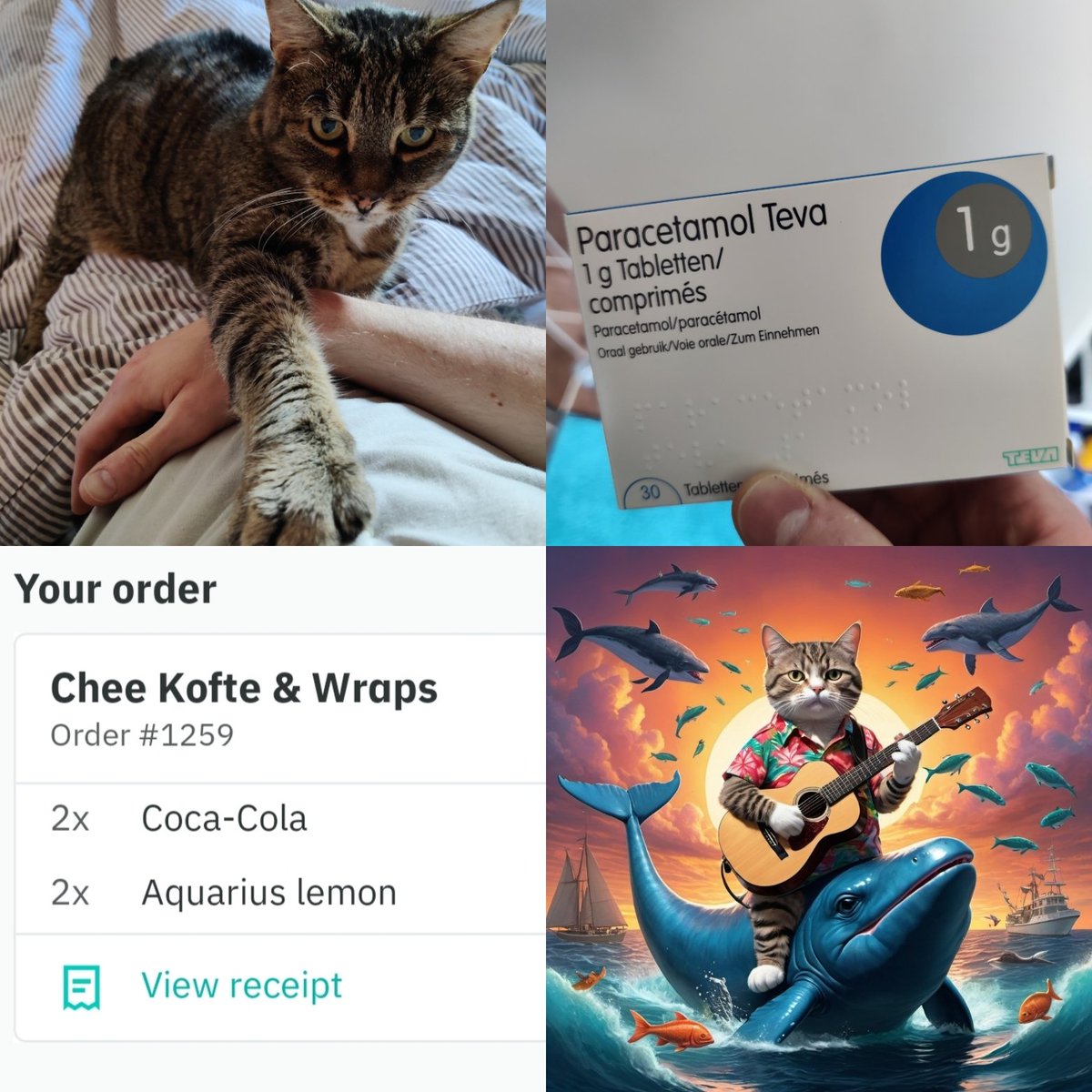 The 4 horsemen of having the flu