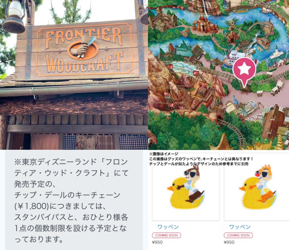 ディズニーランド　スイスイサマー　フロンティアウッドクラフト　チップとデール アヒルのうきわに乗って浮かぶチップ＆デール！東京