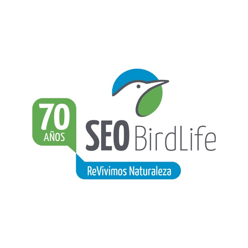 SEO_BirdLife's tweet photo. 🎂 ¡Cumplimos 7️⃣0️⃣ añazos y queremos sortear unos prismáticos @vikingoptical Merlin ED 8X42! Sigue estos pasos👇

✅ Sigue a @SEO_BirdLife
🔁 Repost
❤️ Me gusta
✍️ Comenta con #70AñosPorLasAves qué especie estás deseando ver

⏱️ Hasta el 19/06/2024 (Envíos a España)
¡A pajarear!