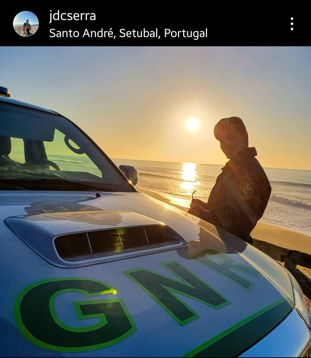 Carlos Guedes tweet media