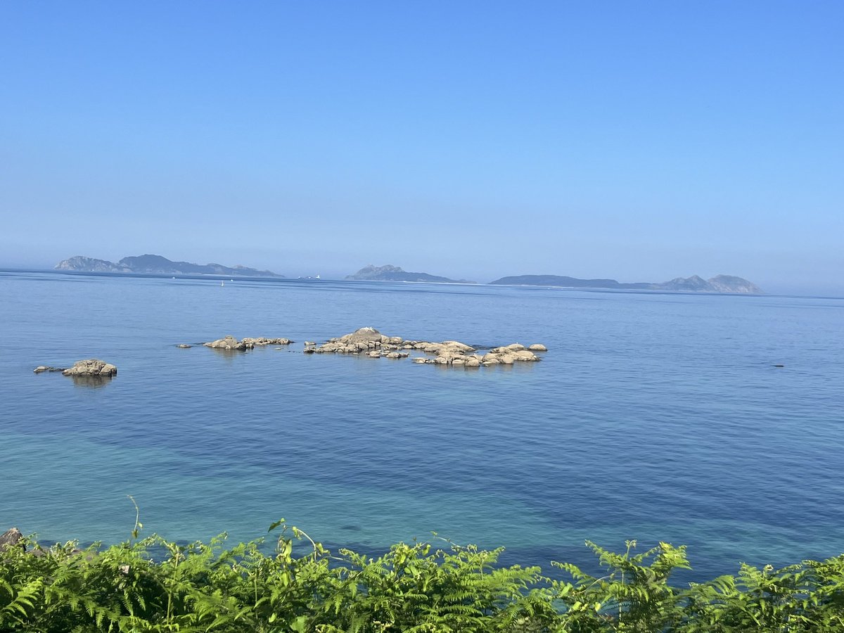 David_Diesemm | Agencia Eventos tweet media