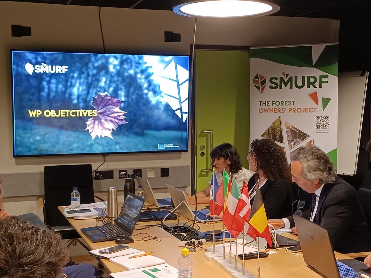smurfproject's tweet photo. Yesterday, during the #ERIAFF2024, we celebrated the first sessions of our second general assembly.

After an overview of all the WPs, we introduced and discussed our data management plan and the communication and dissemination plan of the #SMURFproject https://t.co/oOnE09tUIZ
