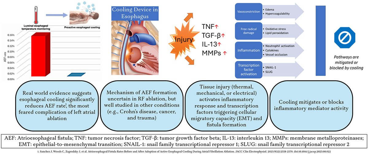Nashwa Abdulsalam (@nashwa_salem_) on Twitter photo Interesting review <a href="/HRS_O2Journal/">Heart Rhythm O2</a> delving into the evidence supporting proactive esophageal cooling during RF #afib ablation and its role in reducing #AEF fistula
#EPeeps Interesting review <a href="/HRS_O2Journal/">Heart Rhythm O2</a> delving into the evidence supporting proactive esophageal cooling during RF #afib ablation and its role in reducing #AEF fistula
#EPeeps