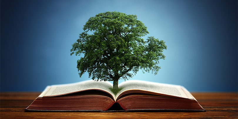 ecology_journal's tweet photo. New #courses #recognise #importance of #theological approaches to #ecology 
Read more: https://t.co/D5vX7MYd4J
share your paper on: https://t.co/MnDO1LZ0u1 
#jety 
#manuscript 
#research 
#Ecology https://t.co/SBj9ETr1Pn