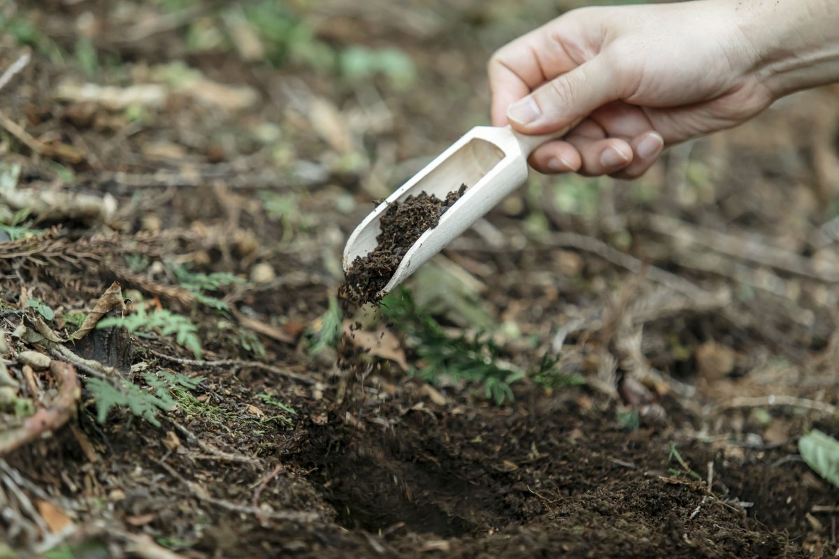 little_shotaro's tweet image. #workforgood 新たな掲載企業です🌳

森に遺骨を還す「#循環葬」を手掛ける「at FOREST株式会社」。"墓に入る"以外の選択肢に乏しい日本。エンディングにオルタナティブを提案するスタートアップ。わいが逝ったらこれで頼む（遺言）

workforgood.jp/company-detail…