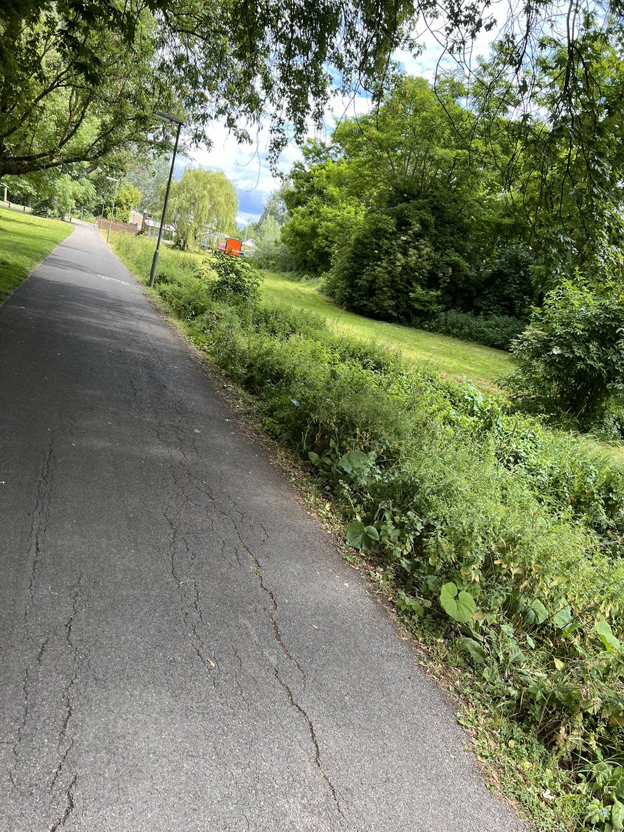 teej18982's tweet photo. @EpsomEwellBC what is going on with all the grass verges and pathways around Epsom. So overgrown and in places unwalkable. Even worse that the places in the pictures “have been visited” but left like this!

@SurreyCouncil https://t.co/AUru2TOHJH