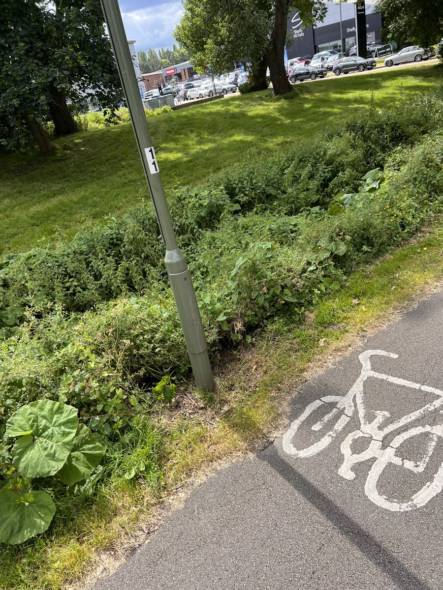 teej18982's tweet photo. @EpsomEwellBC what is going on with all the grass verges and pathways around Epsom. So overgrown and in places unwalkable. Even worse that the places in the pictures “have been visited” but left like this!

@SurreyCouncil https://t.co/AUru2TOHJH
