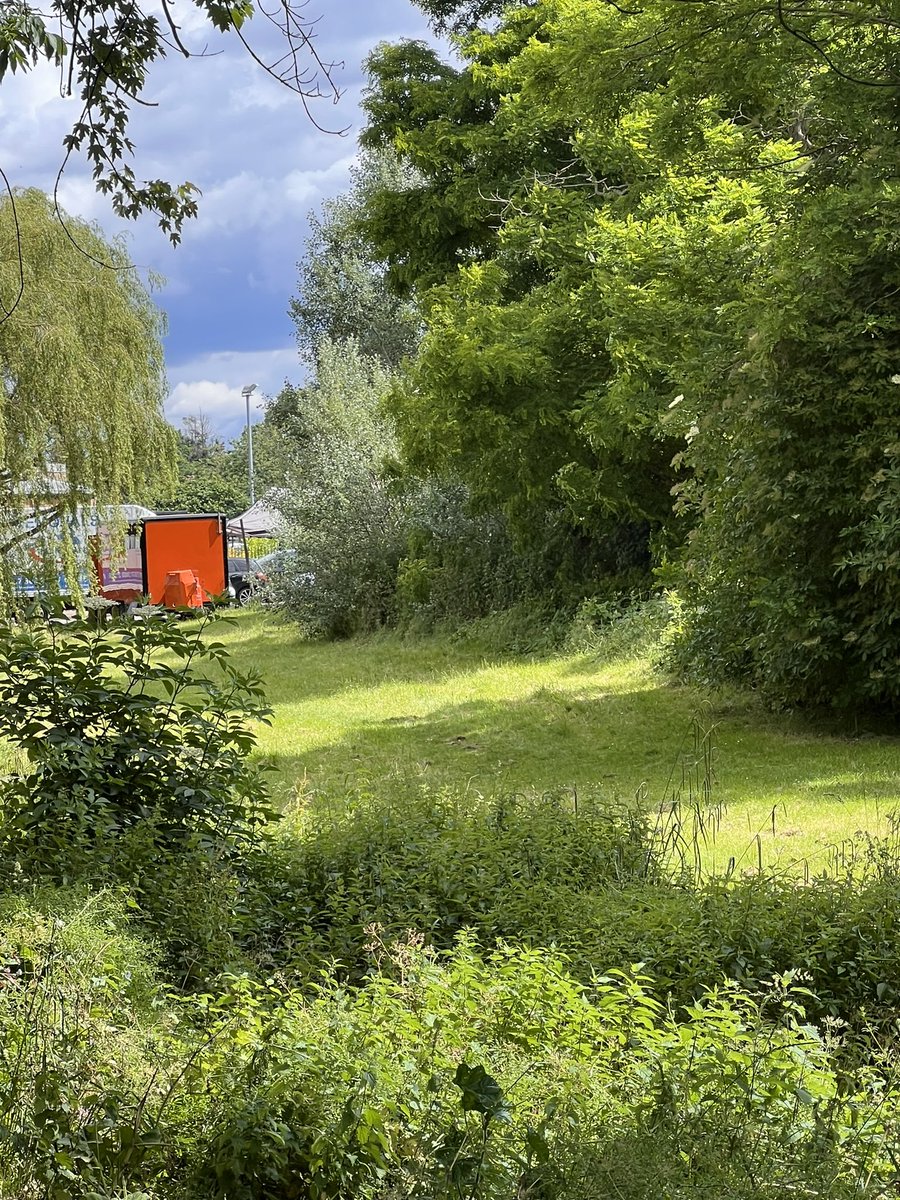 teej18982's tweet photo. @EpsomEwellBC what is going on with all the grass verges and pathways around Epsom. So overgrown and in places unwalkable. Even worse that the places in the pictures “have been visited” but left like this!

@SurreyCouncil https://t.co/AUru2TOHJH