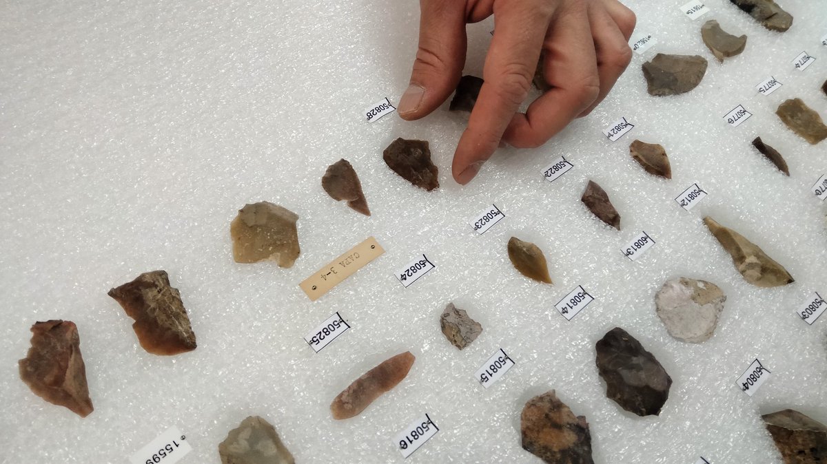 muprevalencia's tweet photo. 👨🏼🔬 🪨 Hui a #RestauraMupreva estem col·locant el conjunt d'indústria lítica mosteriana de #ElSalt d'#Alcoi dins de nous planers.
✂️ Com veieu, les peces s’acomoden sobre suports inerts retallats a mida, per garantir la seua correcta #Conservació i facilitar el seu accés😉 https://t.co/Geb0cV8W0F