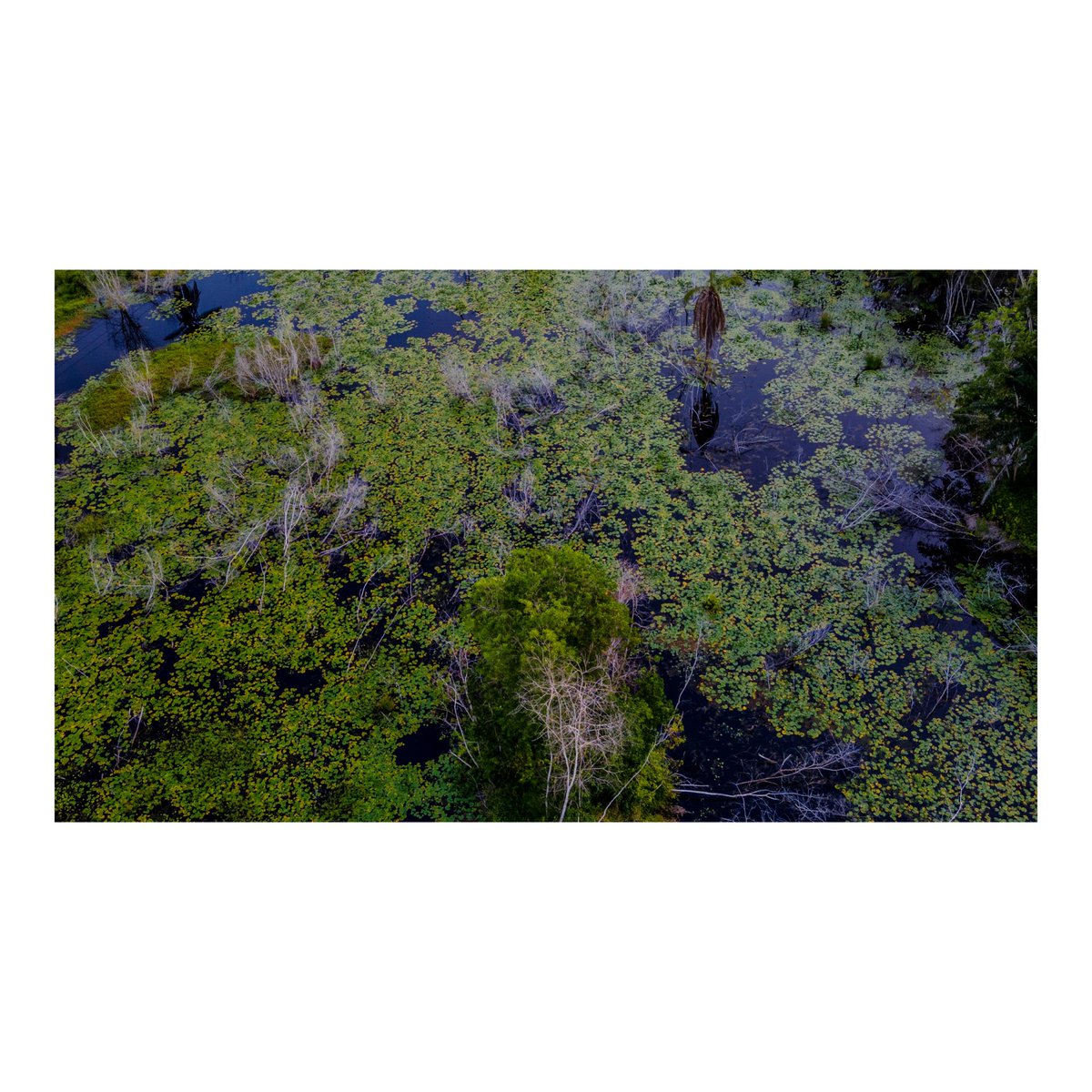 Yanick Folly tweet media