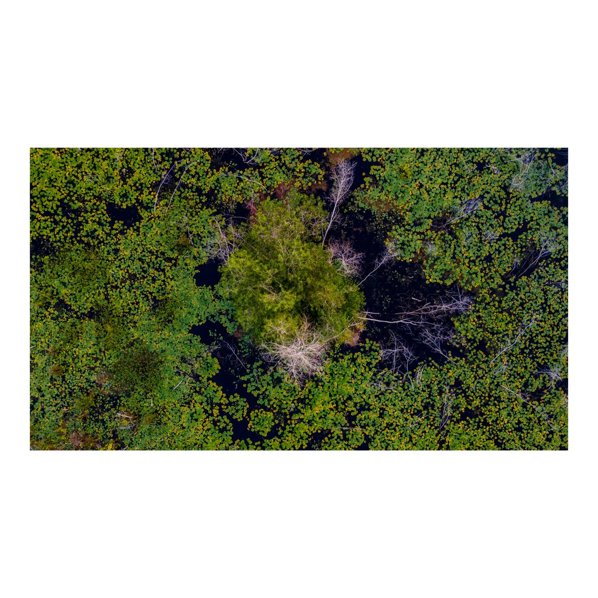 Yanick Folly tweet media