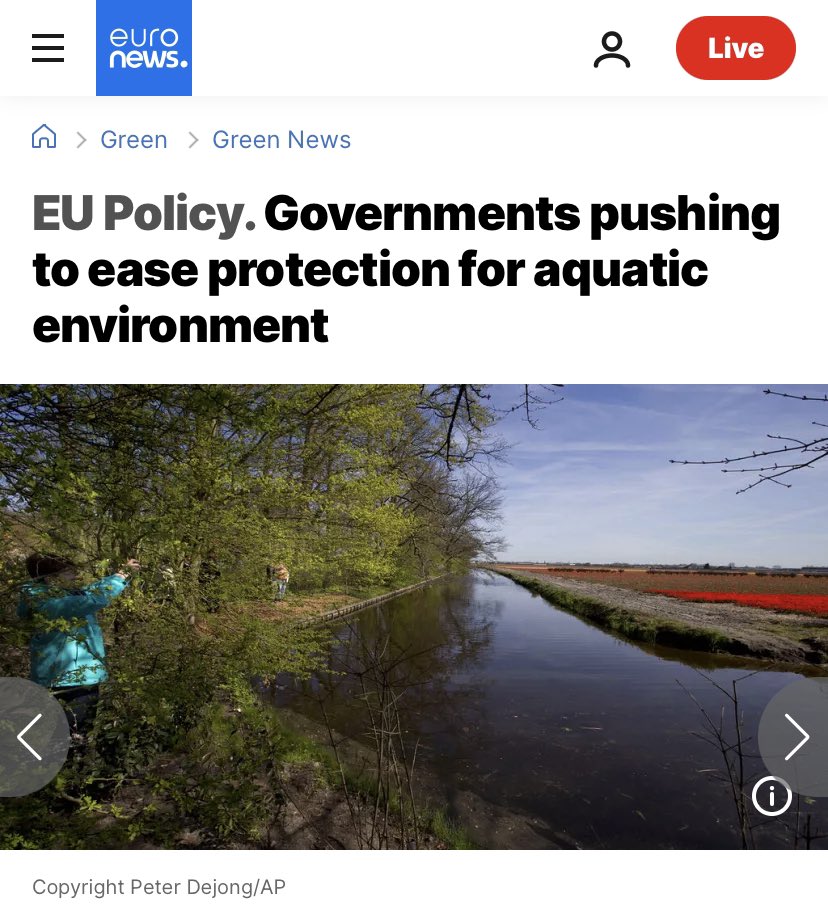 DitteBrasso's tweet image. Miljøet kan vise sig at blive den store taber af #EP2024

Vandmiljø bliver 1. test af, om det nye #EP vil sænke ambitionerne på #miljø 

Rådet vil lempe reglerne - det bliver interessant at følge om det nye #EP også vil genoverveje sin position @thinkeuropa #eudk #dkgreen