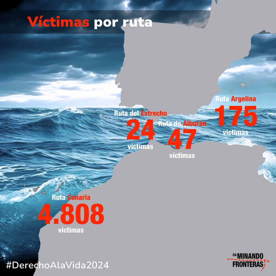 Caminando Fronteras tweet media
