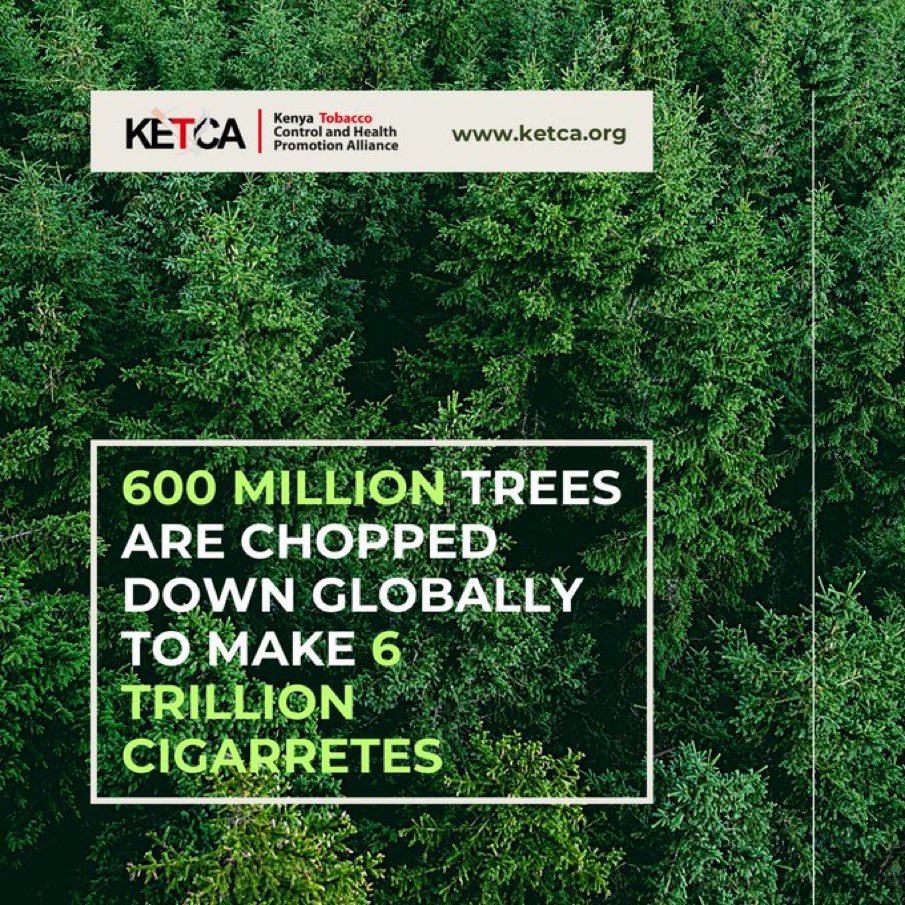 600 miljoen bomen gekapt voor productie  6 biljoen sigaretten
Keten van ellende:  ziekmakende kinderarbeid op plantages tot ontbossing en grote bijdrage aan plastic soup door microplastics uit nutteloze sjoemelfilter. (En 8 miljoen tabaksdoden per jaar..)