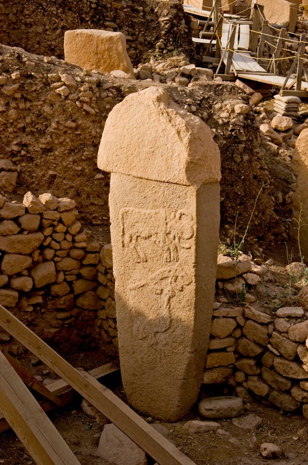 AliciaMimundo's tweet photo. #Curiosidades 

1. Göbekli Tepe, posiblemente el templo más antiguo del mundo.

El yacimiento arqueológico de Göbekli Tepe, ubicado en la provincia de Sanliurfa, Turquía, fue descubierto por Klaus Schmidt en 1994. Está formado por una serie de recintos circulares y rectangulares con monumentos megalíticos cuya construcción se ha atribuido a poblaciones de cazadores-recolectores de hace 11.500 años, siendo así anterior 6.500 años a las grandes pirámides de Egipto y 6.000 a Stonehenge. 

Los pilares monolíticos de piedra caliza en forma de T pueden llegar a medir hasta 5,5 m. y pesar 40 toneladas. Están tallados y adornados con bajorrelieves de animales: gacelas, serpientes, zorros, escorpiones y jabalíes. También pictogramas abstractos, así como representaciones de seres antropomorfos en ademán de oración que podrían interpretarse como sacerdotes o dioses. 
⤵️