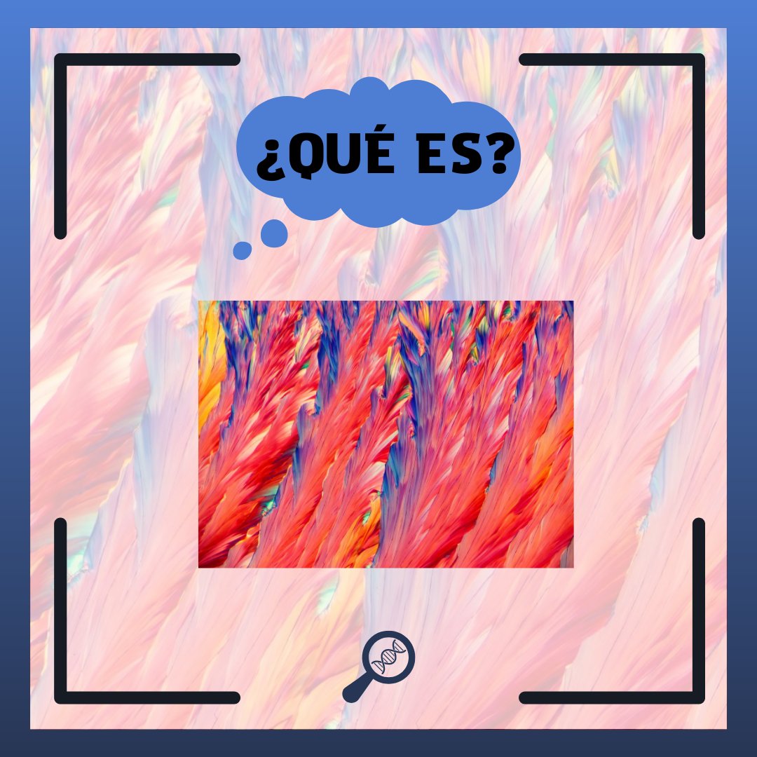 Aquí tenéis una imagen , ¿quién sabe qué es? Esta noche desvelamos la respuesta😱