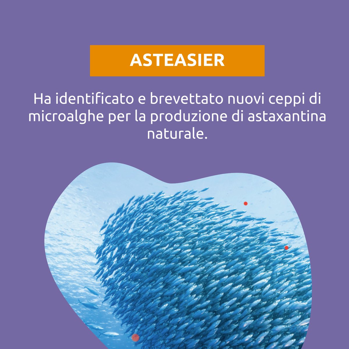 Quanti nuovi #ingredienti vengono lanciati sul #mercato ogni anno?

Ne parliamo alla seconda lezione del corso gratuito #Innovazione #Foodtech insieme a <a href="/eatableadv/">Eatable Adventures</a> e <a href="/asteasier_eic/">Asteasier</a> 

🎟️ Iscriviti: eventbrite.it/e/biglietti-in…