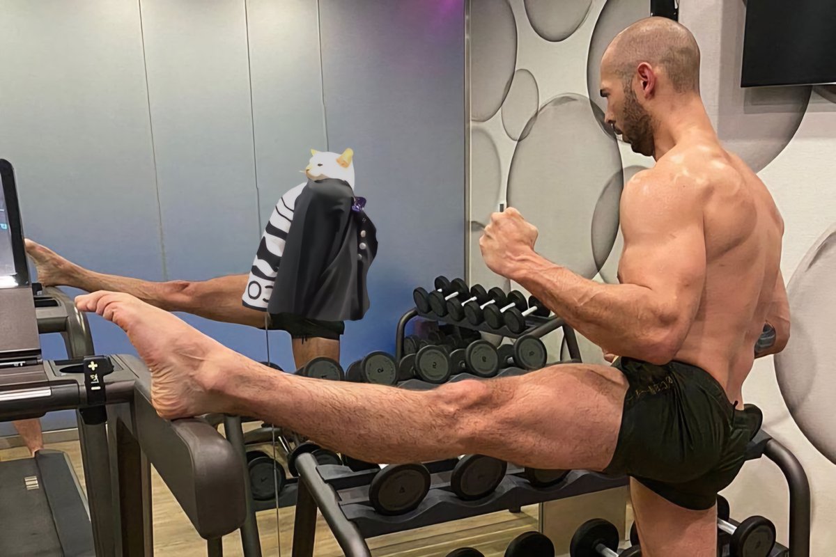 cat getting fade tweet media