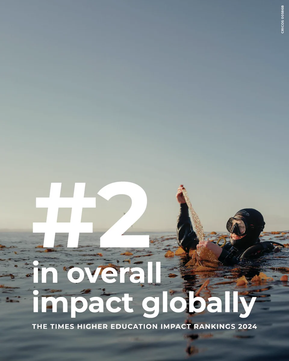 A person in a wetsuit and diving equipment, floating on the top of the ocean and examining seaweed. There is text over the top of the image which reads: #2 in overall impact globally, The Times Higher Education Impact Rankings 2024
