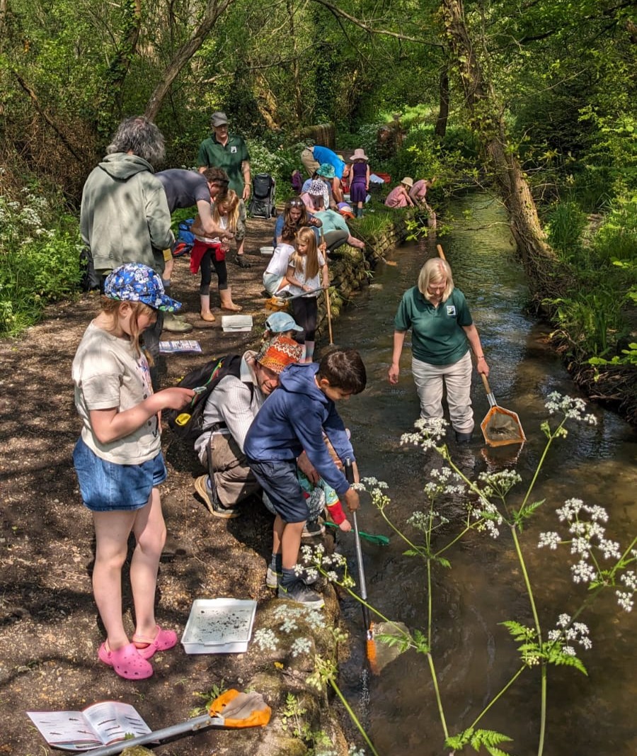 Only 56% of young people surveyed in #Wiltshire have ideas for things they can do to help nature.

Our fourth manifesto priority is to enable healthy, thriving communities by improving access to nature.

wiltshirewildlife.org/manifesto 

#GreatBigGreenWeek #30DaysWild #TeamWilder