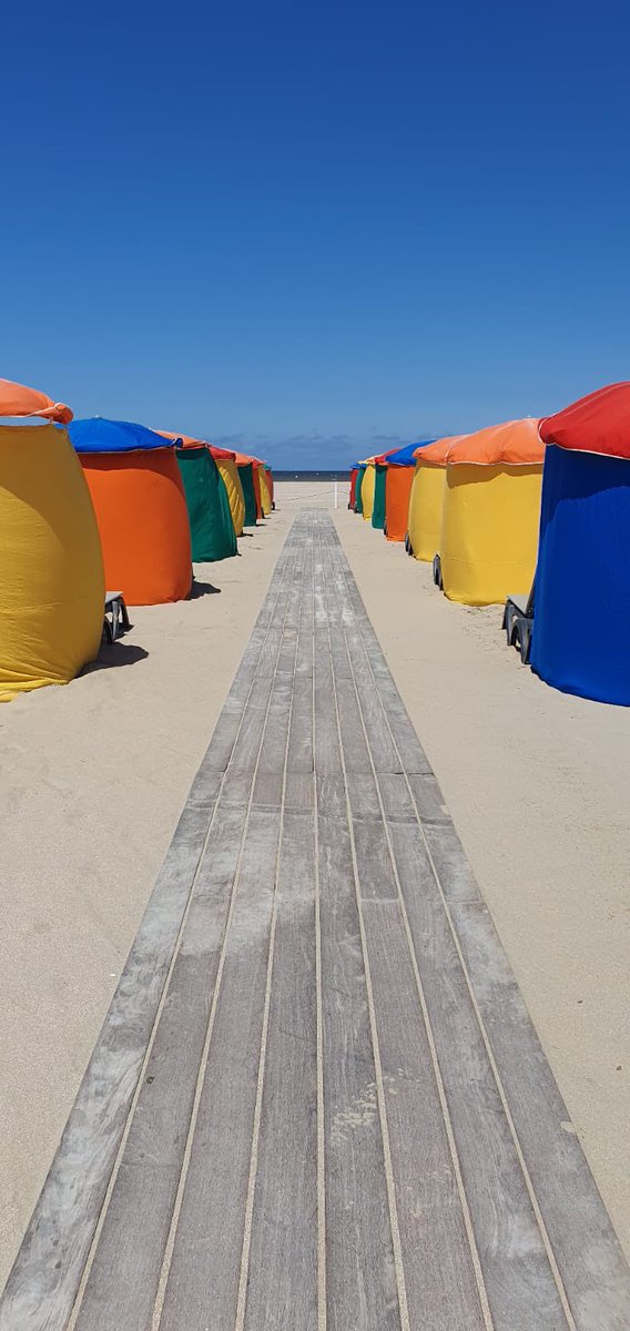 JNInfectiologie's tweet photo. Bienvenue à cette 25eme édition des JNI qui se déroulent pour la 1ere fois en Normandie ! ☀️⛱
#infectiologie #rejif #SPILF #CMIT #alineaplus #JNI2024 https://t.co/XyTlgXUhJ5