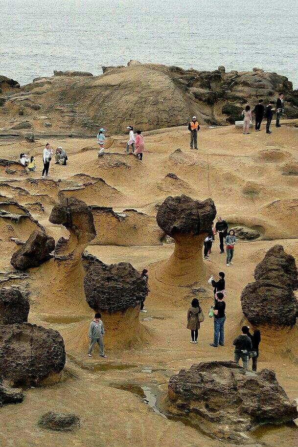 KSsenawang's tweet photo. ⚪️Yehliu Geopark terletak di Bandar Baru Taipei, Taiwan, dan terkenal dengan formasi geologi yang unik serta pemandangan pantai yang menakjubkan. Taman ini terletak di tanjung yang memanjang ke laut dan menampilkan pelbagai formasi batu yang terbentuk melalui hakisan semula jadi. https://t.co/7iAqU6bKgy