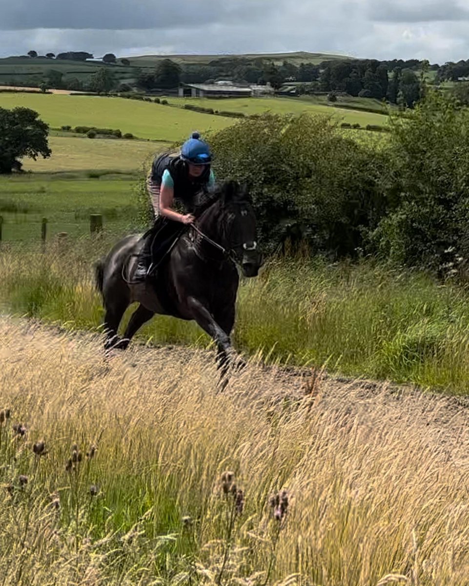 Linda perratt racing tweet media