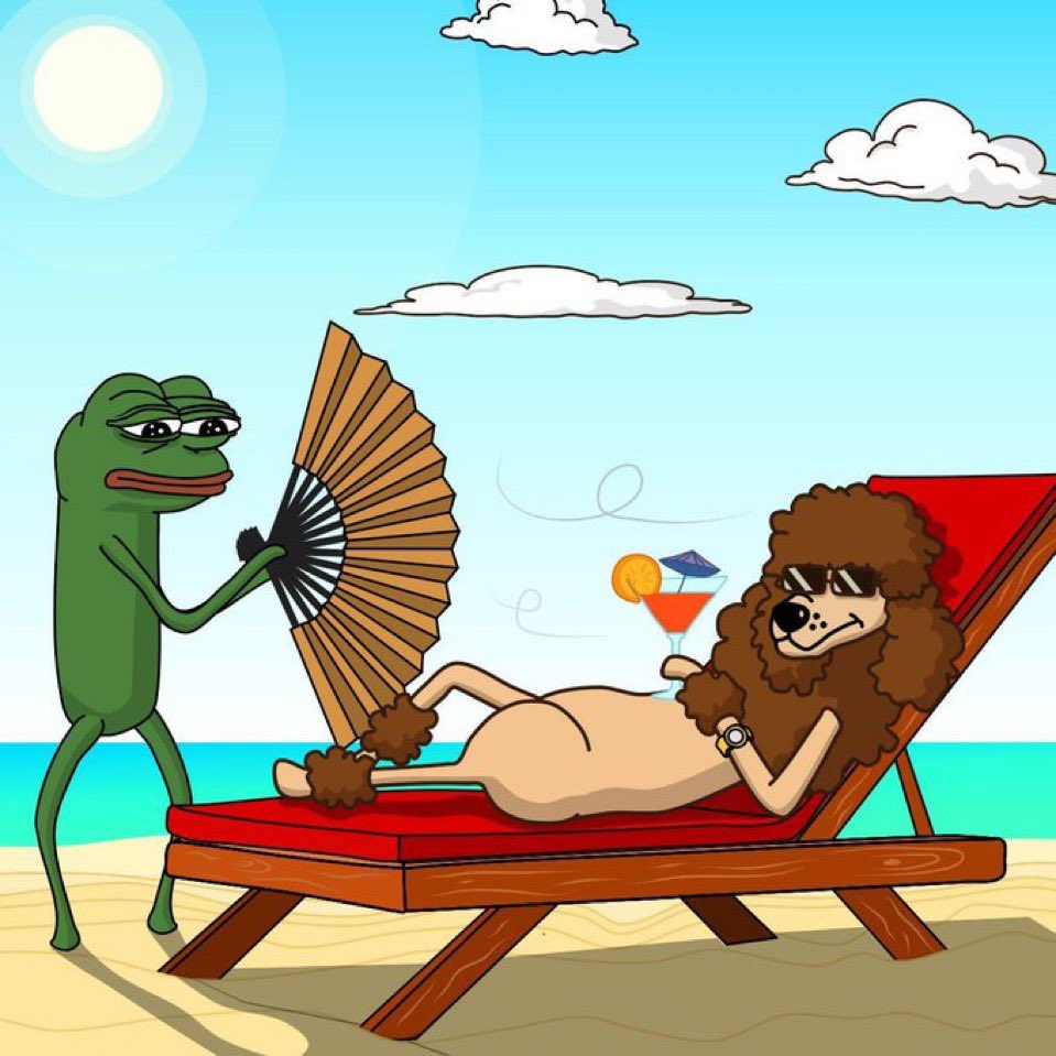 PoodlStan's tweet photo. @GlobalCryptoUtd @poodlinu Where there’s a $POODL will, there’s a $POODL way!!! https://t.co/nmM2W3kQBA