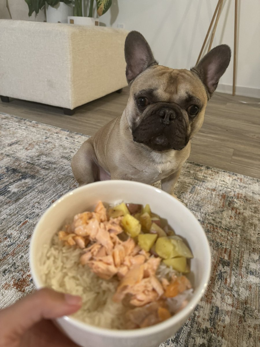 WittleWonton's tweet photo. Mom made me dinner. 

This shit hittin. https://t.co/grOoJxrXNO
