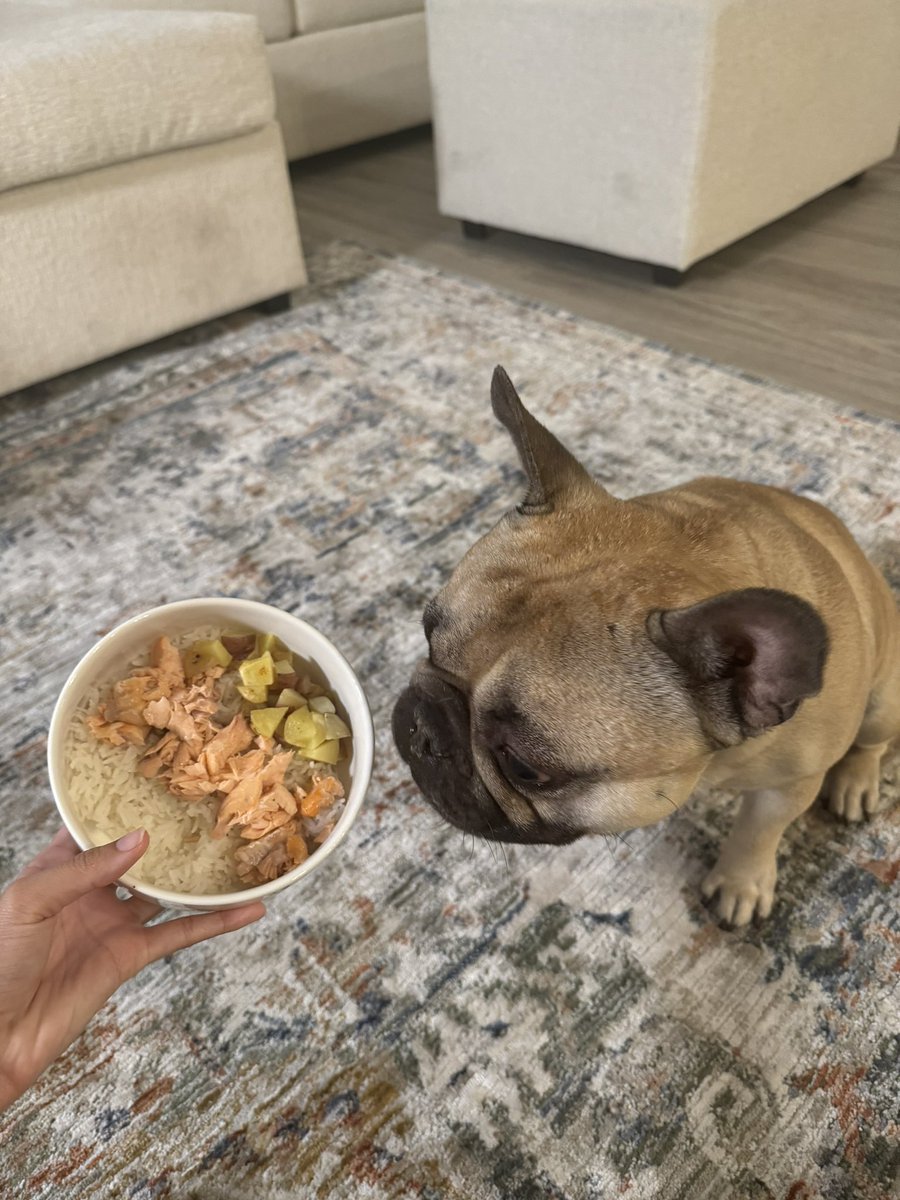 WittleWonton's tweet photo. Mom made me dinner. 

This shit hittin. https://t.co/grOoJxrXNO
