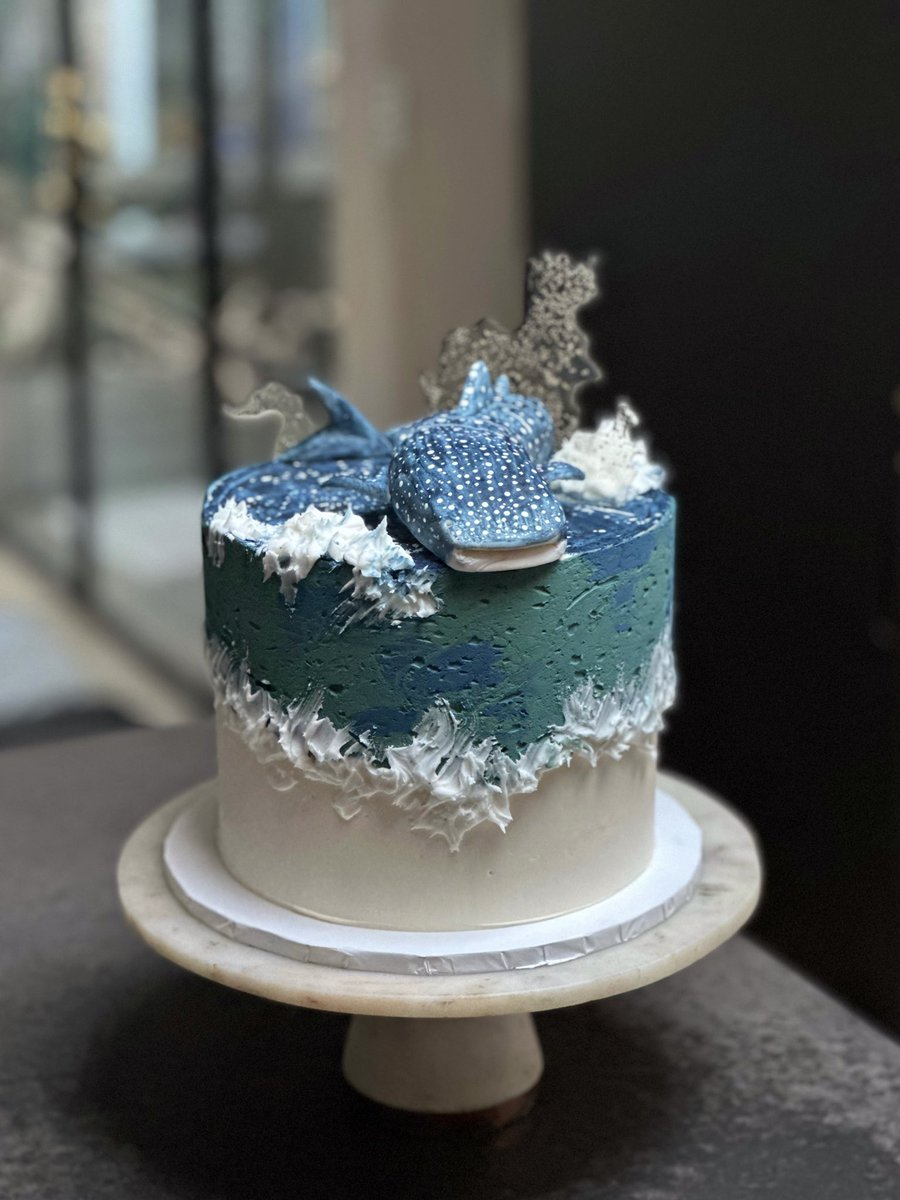 sashimimimi's tweet photo. Whale shark cake! 

Devil’s food cake, dark chocolate ganache, rum-soaked raisins, salted butter caramel, smoked salt, pistachio praline and vanilla buttercream. And a whale shark I hand made and painted from sugarpaste and white food colour and edible isomalt splish splashes. 💦 https://t.co/ykOePQFOlS