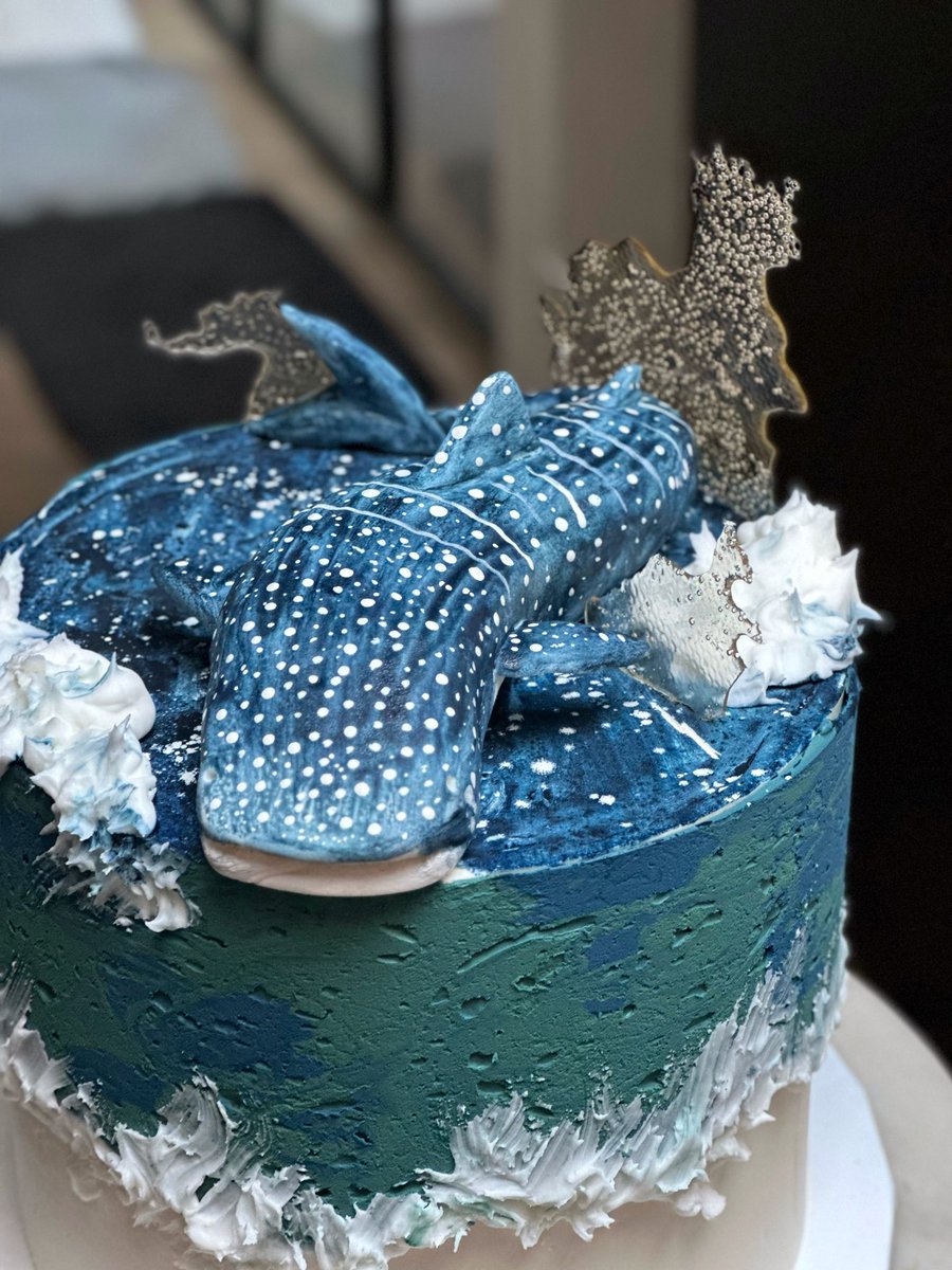 sashimimimi's tweet photo. Whale shark cake! 

Devil’s food cake, dark chocolate ganache, rum-soaked raisins, salted butter caramel, smoked salt, pistachio praline and vanilla buttercream. And a whale shark I hand made and painted from sugarpaste and white food colour and edible isomalt splish splashes. 💦 https://t.co/ykOePQFOlS